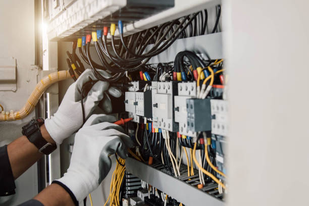 Best Electric Panel Repair  in Whitehall, WI